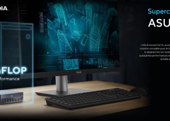 Solutions professionnelles pour les entreprises et particuliers