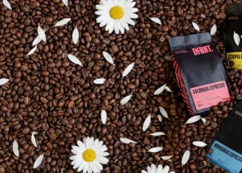 Wyjątkowa kawa i matcha z charakterem