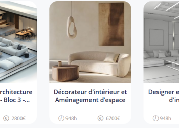 Apprentissage en ligne et formation continue avec School Online University