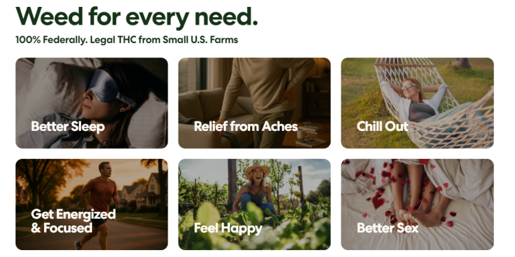 What Makes ‘Mood’ Stand Out in Legal Cannabis and Wellness Products