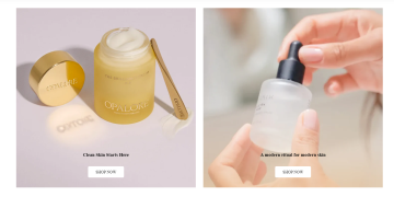 Curated Natural And Organic Beauty From Alyaka