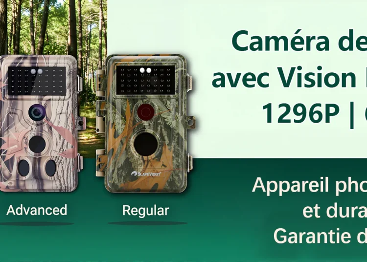 Solutions multimédias complètes proposées par BlazeVideo